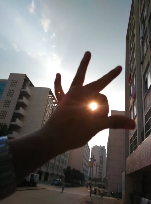 乐动平台