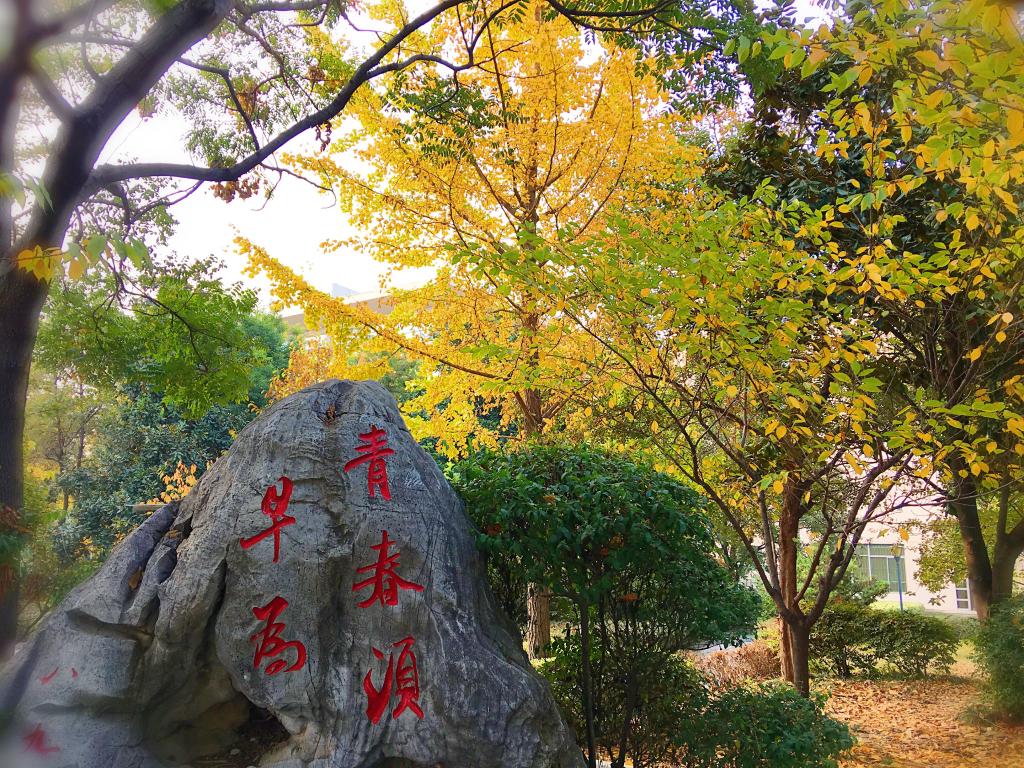 乐动平台官网首页